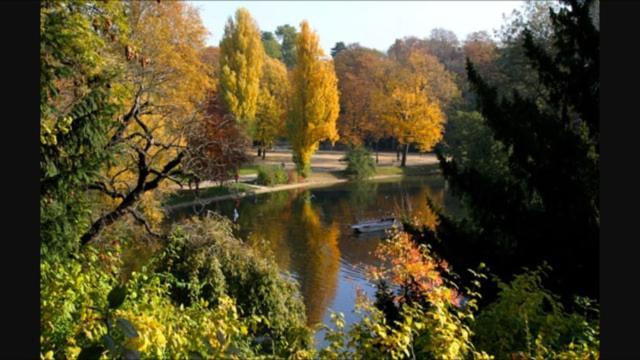 Perfect To Discover In Peace With * Parijs