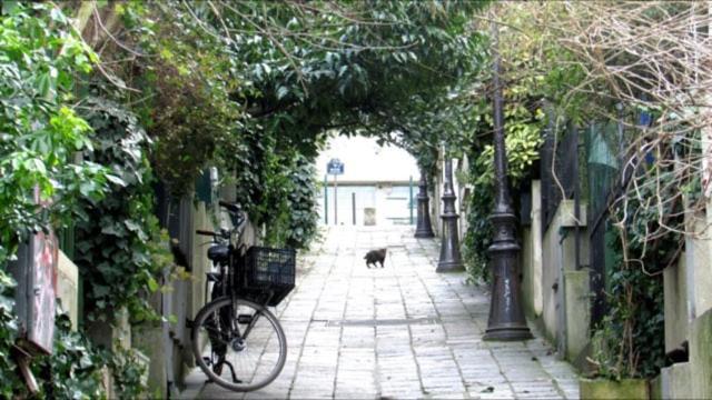 Perfect To Discover In Peace With